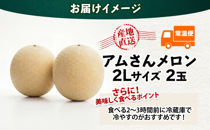 青森県産 つがりあんメロン 「アムさん」 2Lサイズ 2玉 完熟 甘い ジューシー ハウス栽培 弘果弘前中央青果 産地直送 メロン フルーツ 果物 ギフト 贈答 青森県 鶴田町