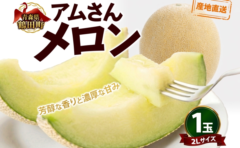 青森県産 つがりあんメロン 「アムさん」 2Lサイズ 1玉 完熟 甘い ジューシー ハウス栽培 弘果弘前中央青果 産地直送 メロン フルーツ 果物 ギフト 贈答 青森県 鶴田町