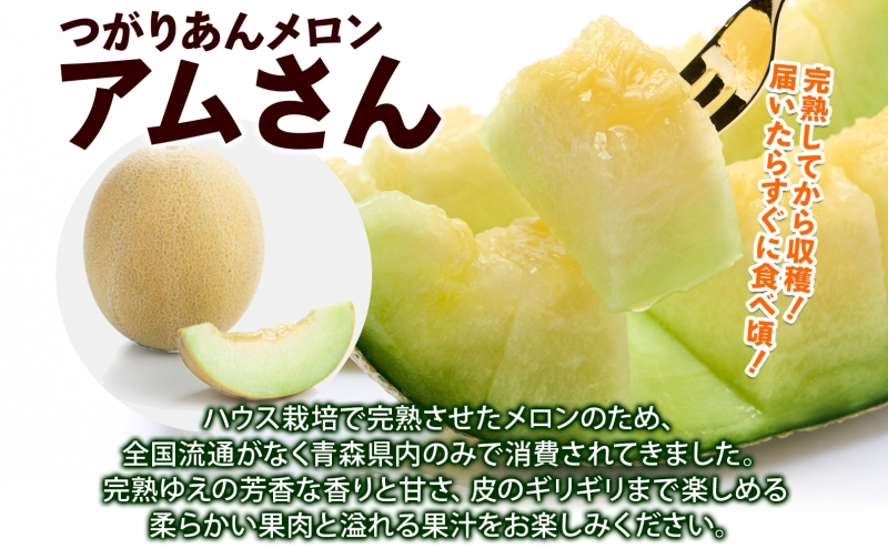 青森県産 つがりあんメロン 「アムさん」 2Lサイズ 1玉 完熟 甘い ジューシー ハウス栽培 弘果弘前中央青果 産地直送 メロン フルーツ 果物 ギフト 贈答 青森県 鶴田町