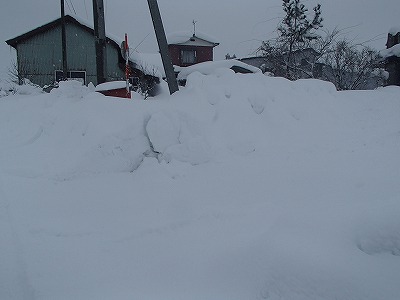 莉、蜥8蟷エ髱呈」ョ逵瑚アェ髮ェ轣ス螳ウ