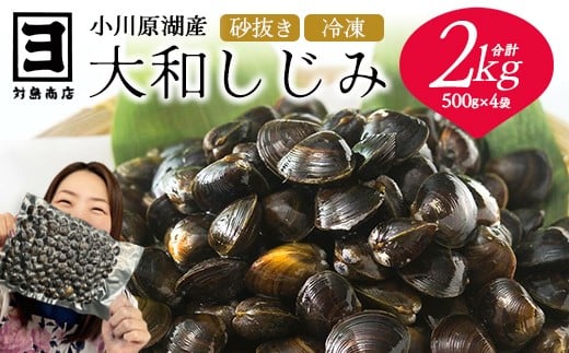砂抜き済みで手間いらず！冷凍・小川原湖産大和しじみ2kg（500g×4袋）　【02408-0084】