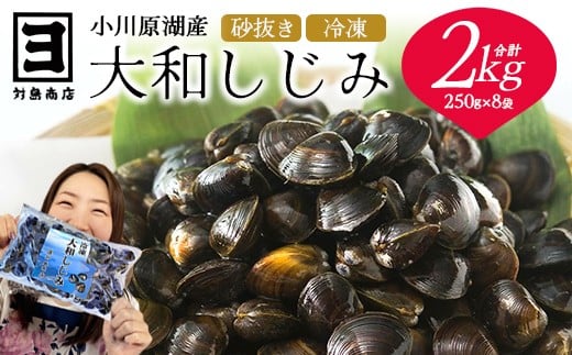 砂抜き済みで手間いらず！冷凍・小川原湖産大和しじみ2kg（250g×8袋）　【02408-0074】