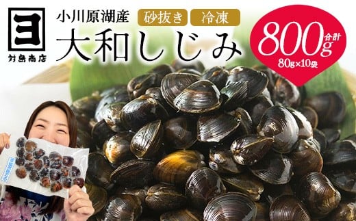 砂抜き済みで手間いらず！冷凍・小川原湖産大和しじみ800g（80g×10袋）　【02408-0144】