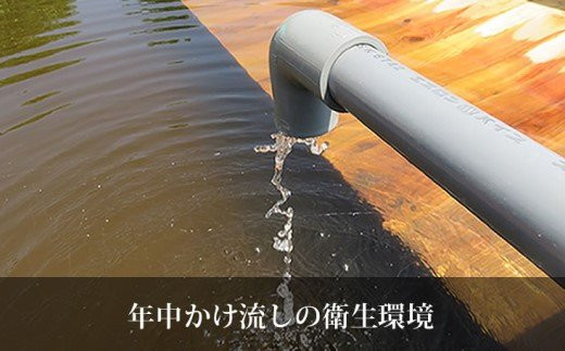 「兜すっぽん」鍋　醤油・生姜味2セット　青森シャモロックスープ味3セット（肉入りスープ5）　【02408-0028】