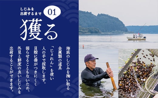 縲 3繝オ譛亥ョ壽悄萓ソ 縲醍よ栢縺肴ク医∩縺ァ謇矩俣縺繧峨★シ∝キ蜃阪サ蟆丞キ晏次貉也肇螟ァ蜥後@縺倥∩1kgシ250gテ4陲具シ峨縲02408-0089縲