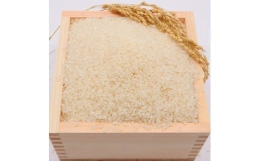 ＜令和7年産＞東北町産　はれわたり　精米5kg　3か月定期便　計15kg　【02408-0098】