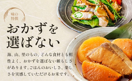 青天の霹靂　精米5kg　【02408-0109】