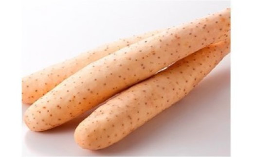 髱呈」ョ逵檎音逕」縺ェ縺後>繧ゅA2Lシ12譛ャ蜈・シ臥エ10kg縲縲02408-0038縲