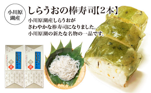 小川原湖産　しらうおの棒寿司　2本　【02408-0123】