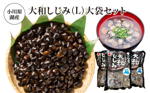 小川原湖産　大和しじみ(L)大袋セット　1kg×3パック/計3kg　【02408-0129】