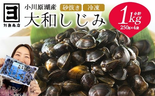 砂抜き済みで手間いらず！冷凍・小川原湖産大和しじみ1kg（250g×4袋）　【02408-0085】