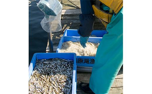 小川原湖産　大和しじみ小袋・棒寿司セット　【02408-0125】