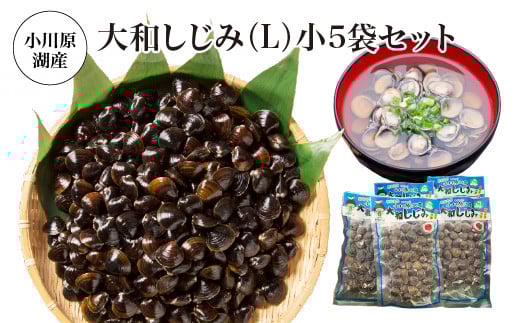 小川原湖産　大和しじみ(L)小袋セット　【02408-0127】