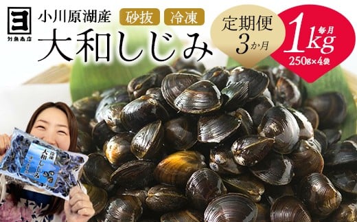 【 3ヵ月定期便 】砂抜き済みで手間いらず！冷凍・小川原湖産大和しじみ1kg（250g×4袋）　【02408-0089】