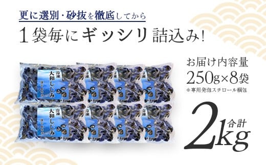 砂抜き済みで手間いらず！冷凍・小川原湖産大和しじみ2kg（250g×8袋）　【02408-0074】