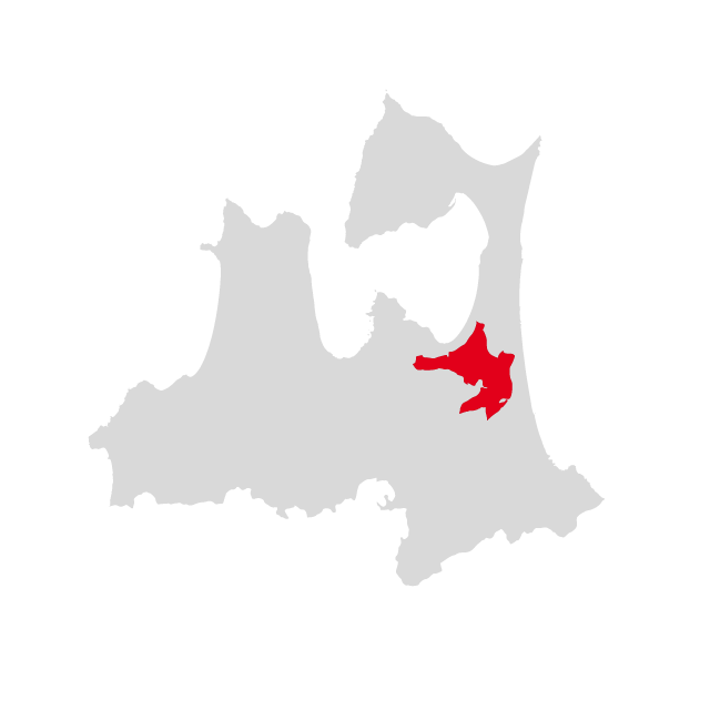 髱呈」ョ逵梧擲蛹礼伴