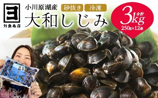 砂抜き済みで手間いらず！冷凍・小川原湖産大和しじみ3kg（250g×12袋）　【02408-0086】