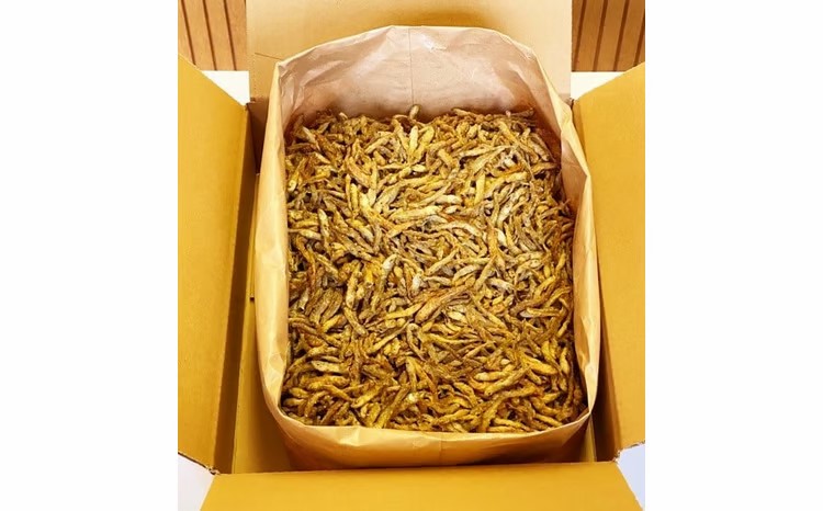 繧上°縺輔℃繧ォ繝ゥ繝繝医→繧上°縺輔℃菴辣ョ縺ョ繧サ繝繝医縲02408-0007縲