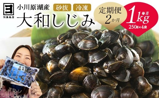 【 2ヵ月定期便 】砂抜き済みで手間いらず！冷凍・小川原湖産大和しじみ1kg（250g×4袋）　【02408-0088】