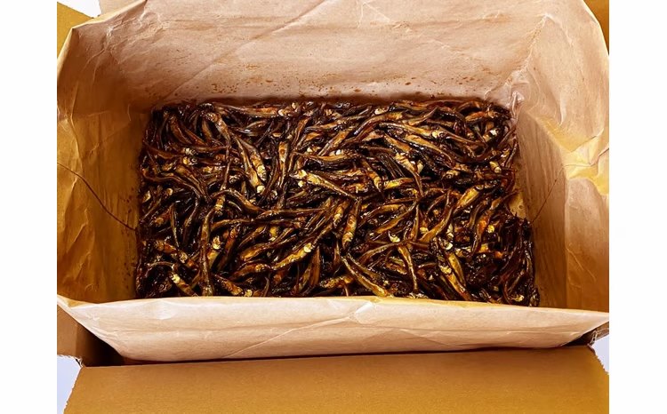 調çããã¿ãšããããäœç
®ã®ã»ãããã02408-0008ã