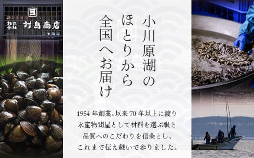 縲 12繝オ譛亥ョ壽悄萓ソ 縲醍よ栢縺肴ク医∩縺ァ謇矩俣縺繧峨★シ∝キ蜃阪サ蟆丞キ晏次貉也肇螟ァ蜥後@縺倥∩1kgシ250gテ4陲具シ峨縲02408-0091縲