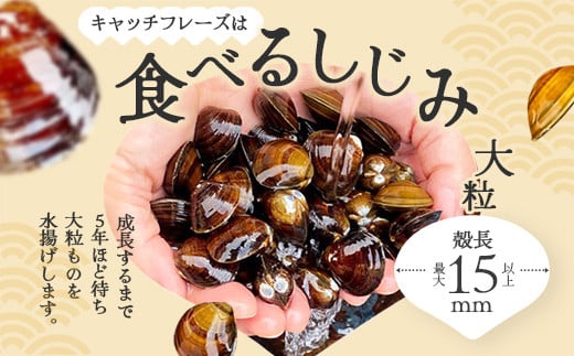 砂抜き済みで手間いらず！冷凍・小川原湖産大和しじみ800g（80g×10袋）　【02408-0144】