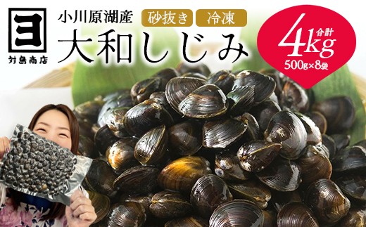 砂抜き済みで手間いらず！冷凍・小川原湖産大和しじみ4kg（500g×8袋）　【02408-0087】