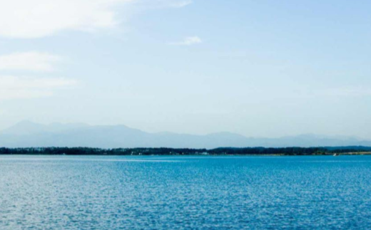 小川原湖産　大和しじみ小袋・棒寿司セット　【02408-0125】