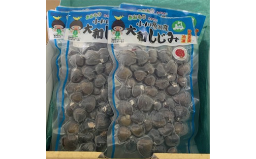 小川原湖産　大和しじみ(L)小袋セット　【02408-0127】