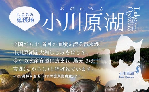 縲 12繝オ譛亥ョ壽悄萓ソ 縲醍よ栢縺肴ク医∩縺ァ謇矩俣縺繧峨★シ∝キ蜃阪サ蟆丞キ晏次貉也肇螟ァ蜥後@縺倥∩1kgシ250gテ4陲具シ峨縲02408-0091縲