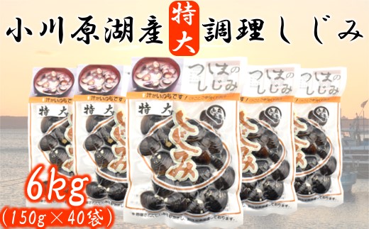 ＜東北町小川原湖産＞特大調理しじみ　150g×40パック　【02408-0003】