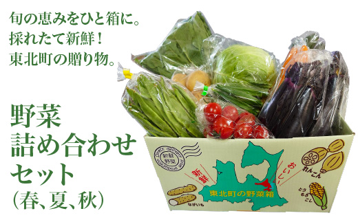 野菜詰め合わせセット（春、夏、秋）　【02408-0134】