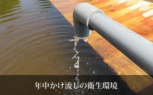 モール温泉「兜（かぶと）すっぽん」鍋　醤油・生姜味1セット（すっぽん肉入りスープ1）　【02408-0020】