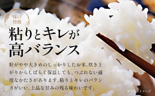 青天の霹靂　精米10kg（5kg×2袋）　【02408-0110】