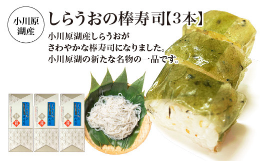 小川原湖産　しらうおの棒寿司　3本　【02408-0124】