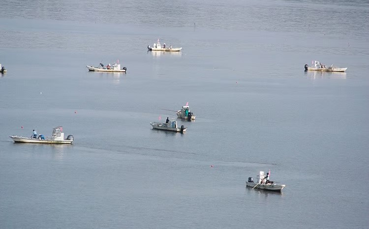 倧åããã¿ã150gÃ3ããã¯ãã02408-0181ã