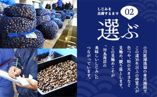 縲 3繝オ譛亥ョ壽悄萓ソ 縲醍よ栢縺肴ク医∩縺ァ謇矩俣縺繧峨★シ∝キ蜃阪サ蟆丞キ晏次貉也肇螟ァ蜥後@縺倥∩1kgシ250gテ4陲具シ峨縲02408-0089縲