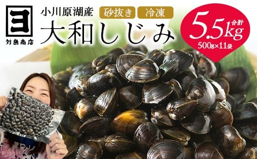 砂抜き済みで手間いらず！冷凍・小川原湖産大和しじみ5.5kg（500g×11袋）　【02408-0030】