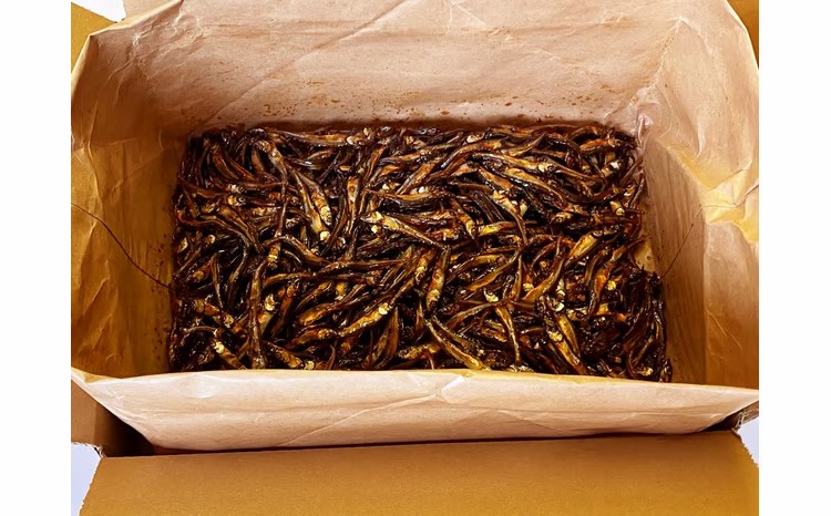 繧上°縺輔℃繧ォ繝ゥ繝繝医→繧上°縺輔℃菴辣ョ縺ョ繧サ繝繝医縲02408-0007縲