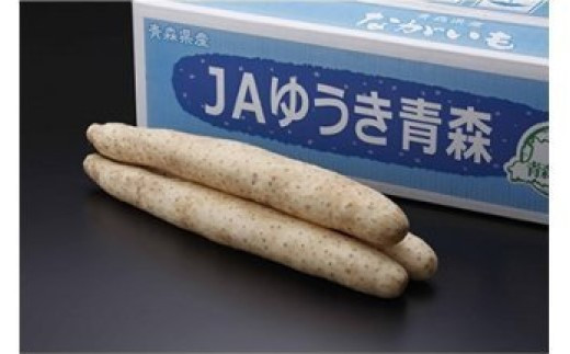 髱呈」ョ逵檎音逕」縺ェ縺後>繧ゅA2Lシ12譛ャ蜈・シ臥エ10kg縲縲02408-0038縲