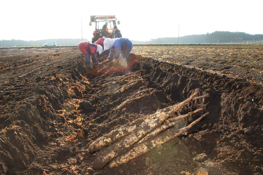 蝨ー蝓溘ョ莠、豬√→逕」讌ュ閧イ謌舌ョ縺溘a縺ョ莠区・ュ
