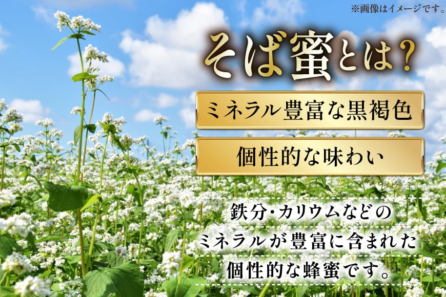 はちみつ 国産 石蔵のはちみつ アカシアはちみつ 450g トチはちみつ 100g そばはちみつ 100g 計3本 セット [東養蜂場 青森県 おいらせ町 oi02ayo660013] ハチミツ 蜂蜜 詰め合わせ アカシア トチ蜂蜜