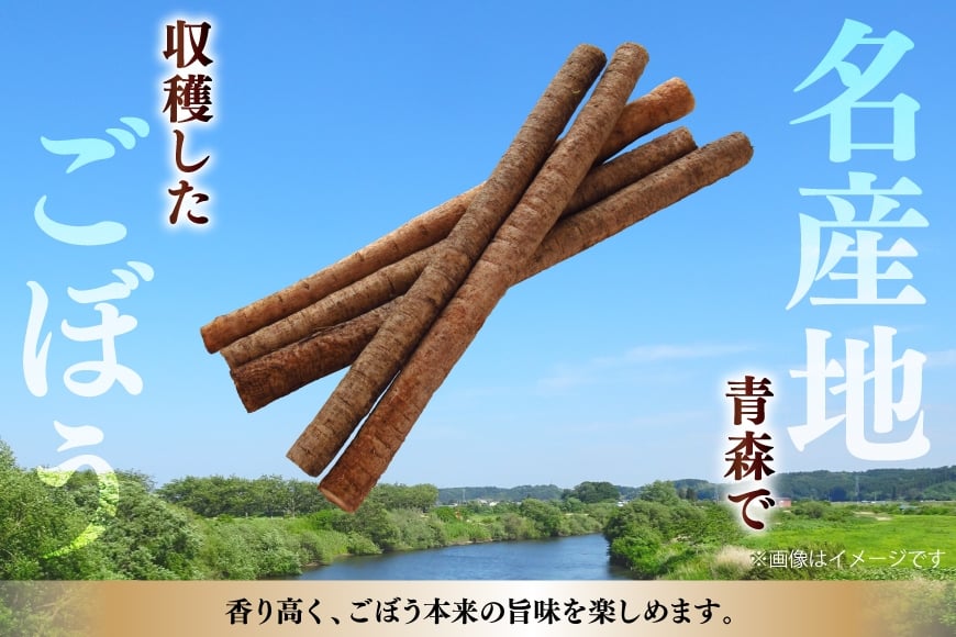 青森県産 乾燥 ごぼう 計40g(20g×2p) [柏崎青果 青森県 おいらせ町 oi02ayo620010] ゴボウ 牛蒡 簡易包装 小分け 長期保存 保存食 備蓄 常温