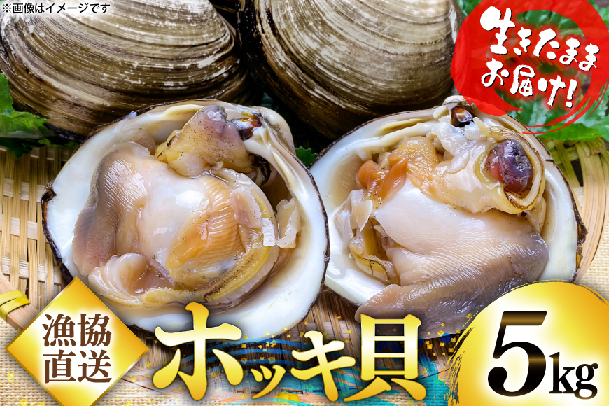 【期間限定発送】【1月発送】 ホッキ貝 5kg [百石町漁業協同組合 青森県 おいらせ町 oi02ayo550002] ほっき貝 ブランド 奥入瀬 北寄貝 ホッキ ほっき