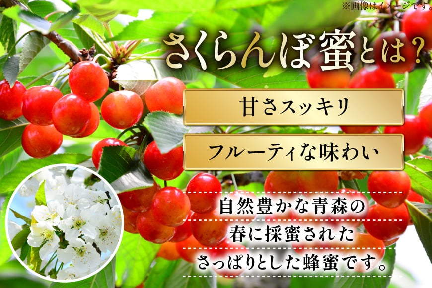 はちみつ 国産 石蔵のはちみつ アカシアはちみつ 450g トチはちみつ 100g さくらんぼはちみつ 100g 計3本 セット [東養蜂場 青森県 おいらせ町 oi02ayo660012] ハチミツ 蜂蜜 詰め合わせ アカシア トチ蜂蜜