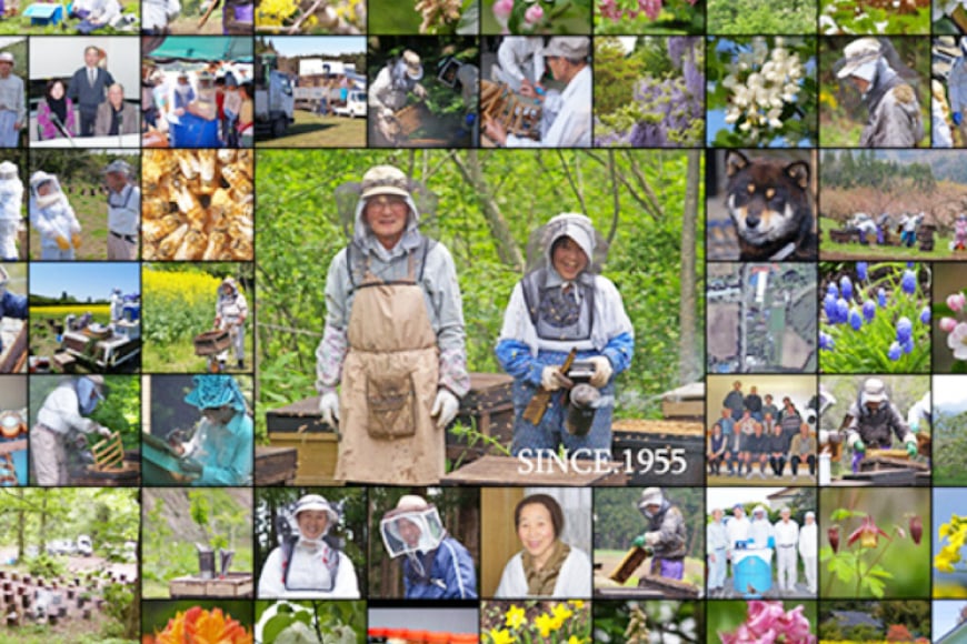 はちみつ 国産 アカシアはちみつ 500g [東養蜂場 青森県 おいらせ町 oi02ayo660002] ハチミツ 蜂蜜 アカシア