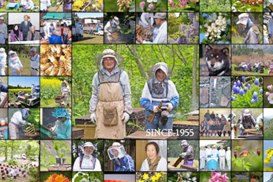 はちみつ 国産 石蔵のはちみつ アカシアはちみつ 450g 2本 セット [東養蜂場 青森県 おいらせ町 oi02ayo660015] ハチミツ 蜂蜜 アカシア