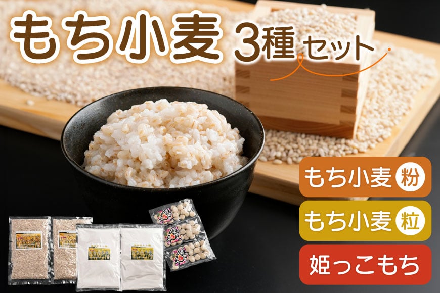 もち小麦 詰め合わせ セット もち姫(粒) 300g 2袋 もち姫(粉) 500g 2袋 姫っこもち 200g 3袋 [アグリの里おいらせ 青森県 おいらせ町 oi02ayo590008] 小麦 もち 餅 モチ もち麦