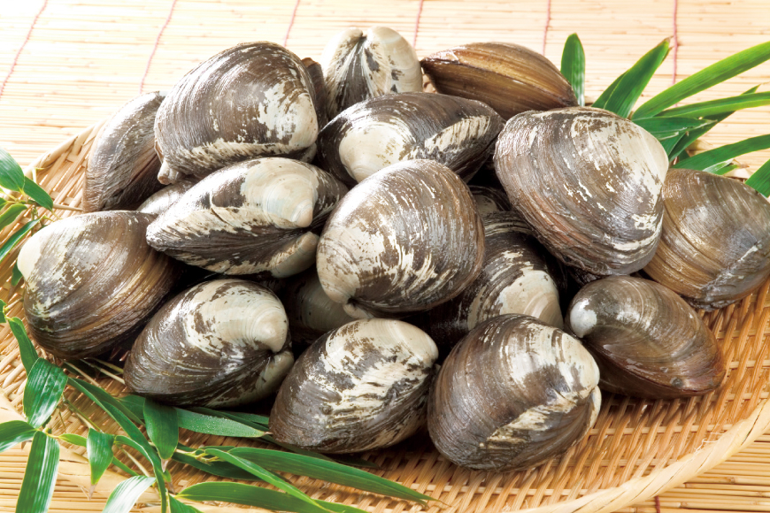 【期間限定発送】【2月発送】 ホッキ貝 5kg [百石町漁業協同組合 青森県 おいらせ町 oi02ayo550003] ほっき貝 ブランド 奥入瀬 北寄貝 ホッキ ほっき