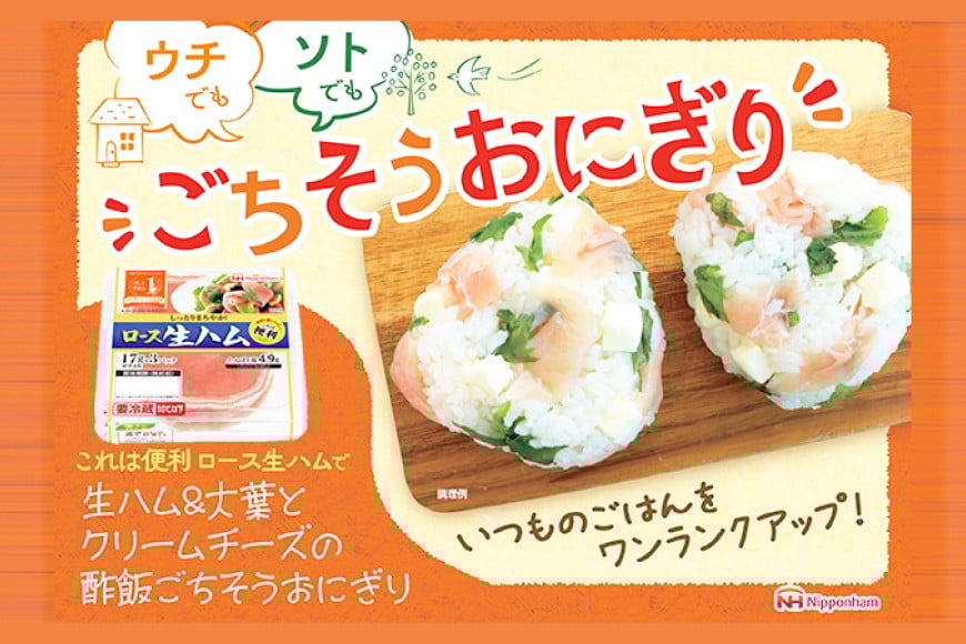 ハム ロース 生ハム 12パック 3束入り [日本ハムマーケティング 青森県 おいらせ町 oi02ayo820012] ロースハム 小分け 使い切り はむ サラダ 17g 冷蔵